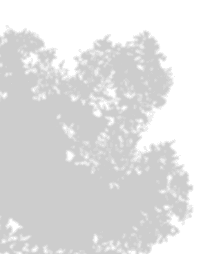 Decorative Shadow Overlay